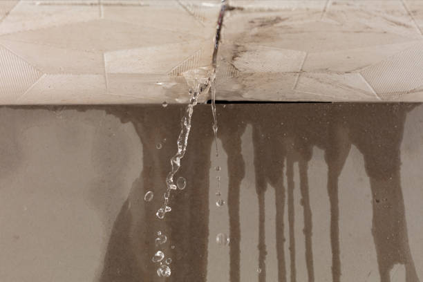 Professional Burst Pipe Cleanup technician working in Lakeville, MN